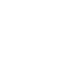 Direccion de desarrollo academico